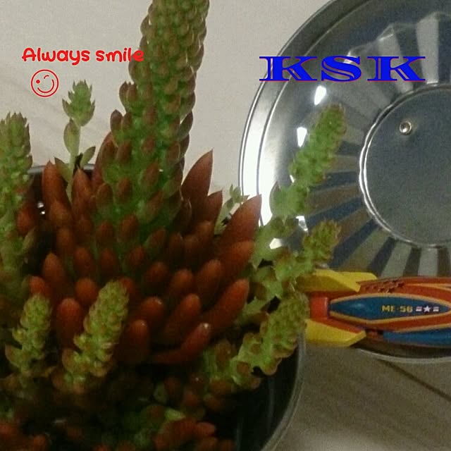 kskさんの実例写真