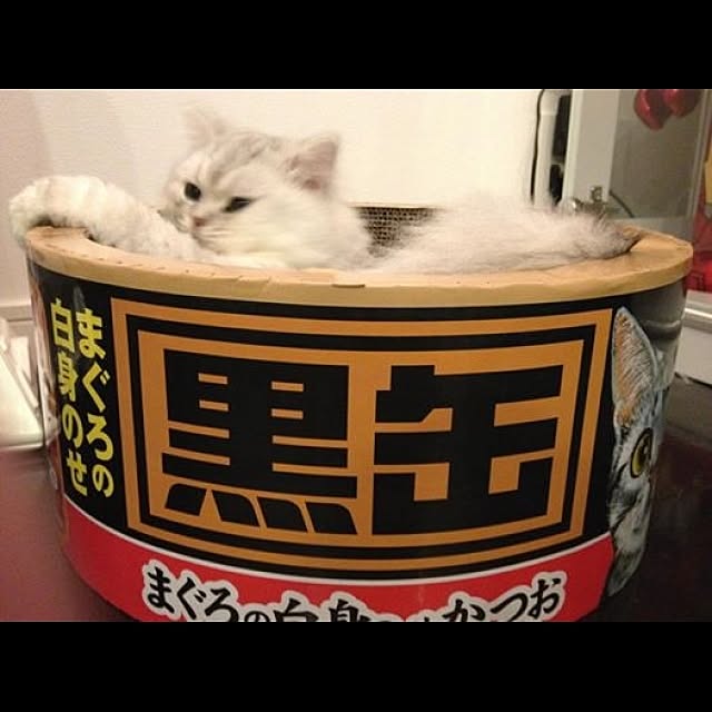 horurunさんの実例写真