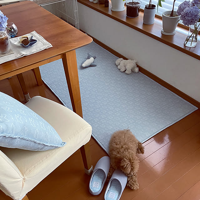 kawauso15さんの部屋