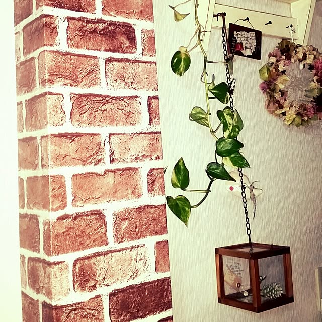 airyuさんの実例写真