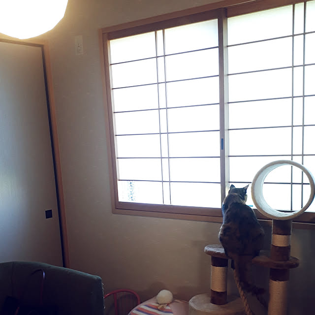 aiさんの実例写真