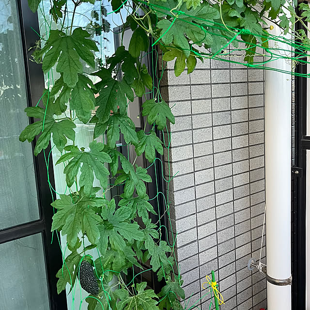 yukko072000さんの部屋