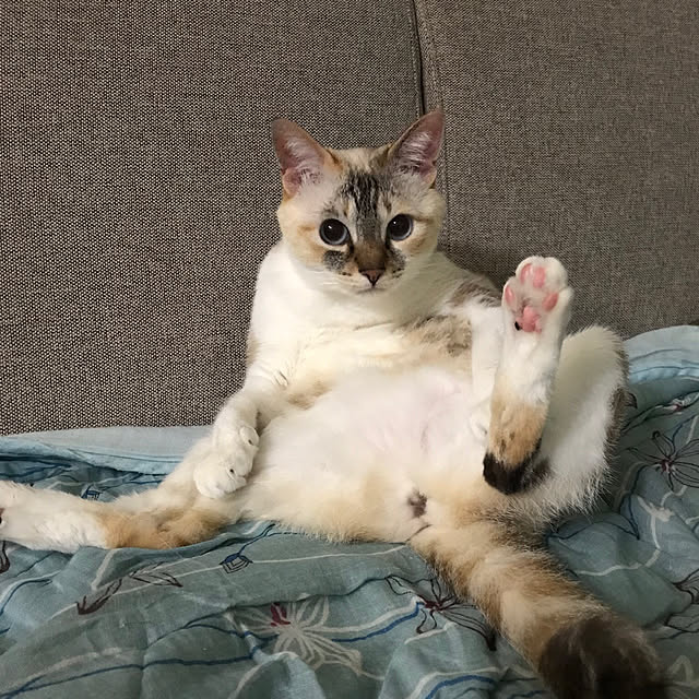 ri-さんの実例写真