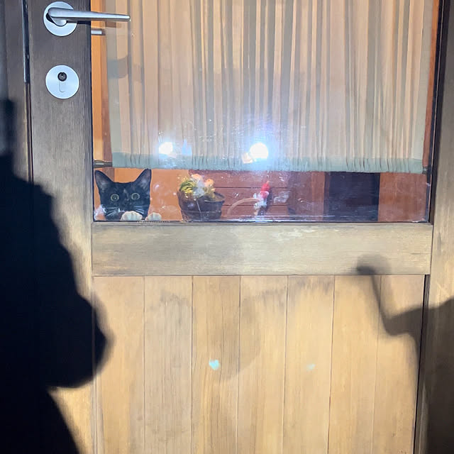 kozakura10さんの実例写真