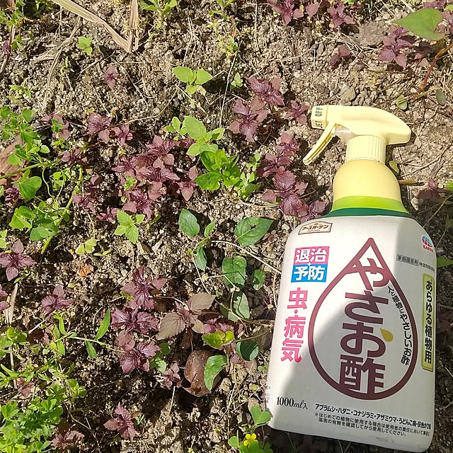 Rさんの部屋