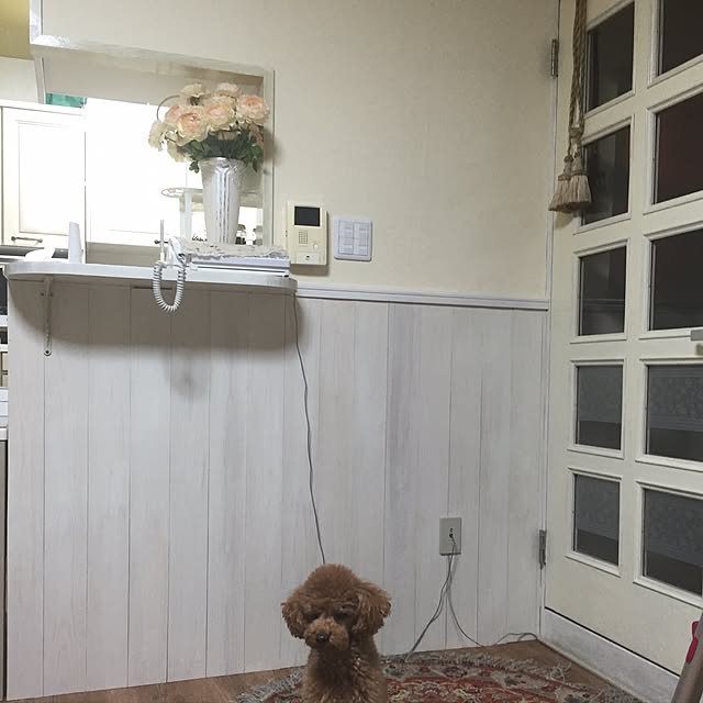 Naomiさんの実例写真
