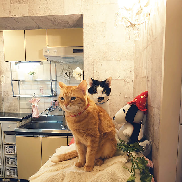 asuminさんの実例写真