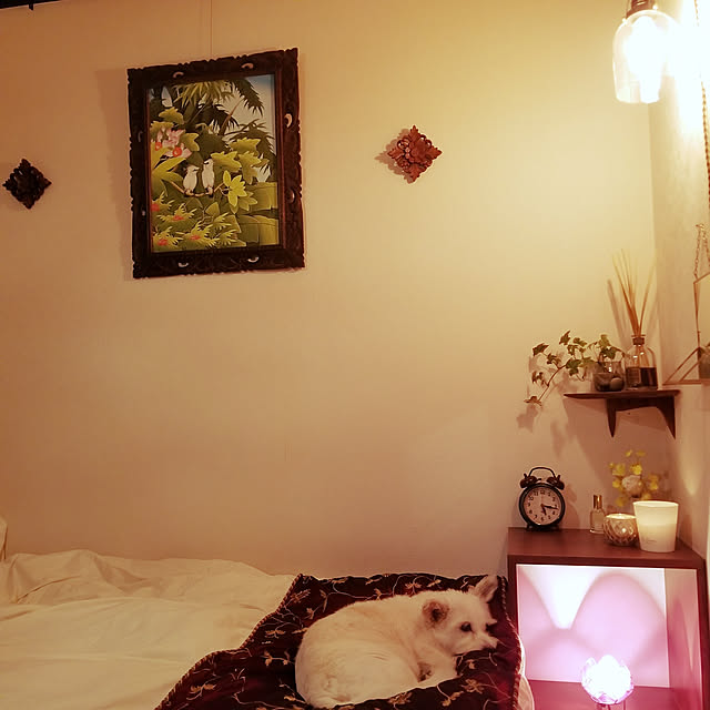 satokichiさんの実例写真