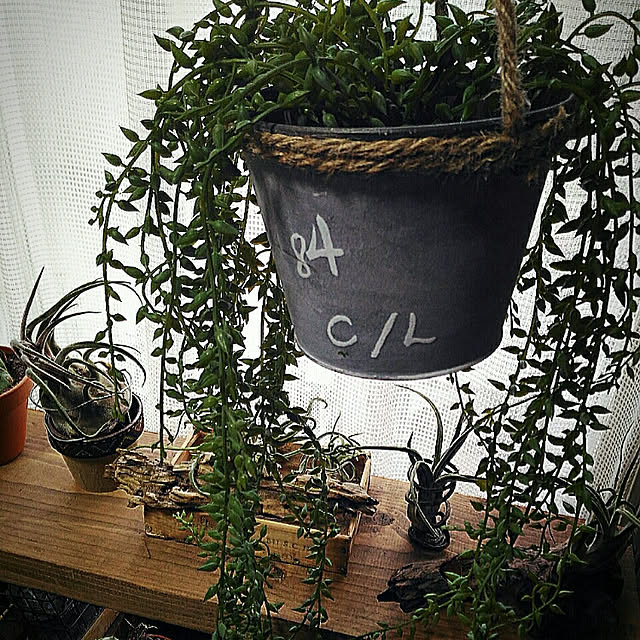 tyaさんの実例写真