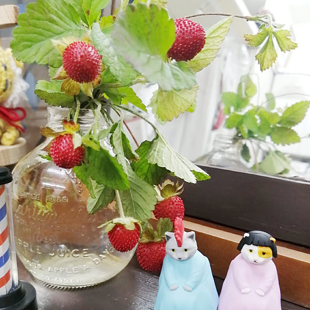 Manaさんの実例写真