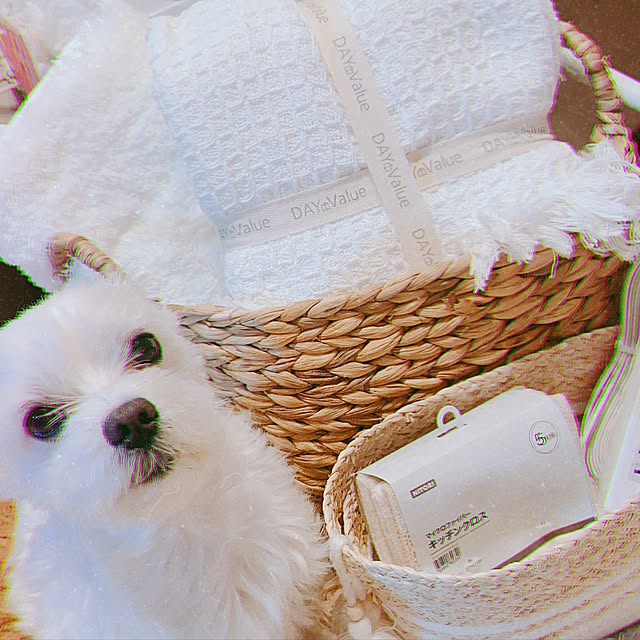 relaxsunさんの実例写真