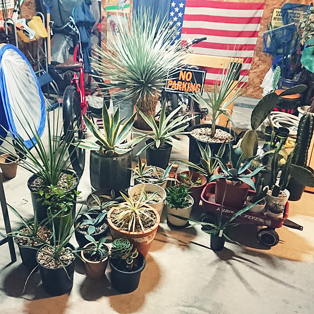 ot-gardenさんの実例写真