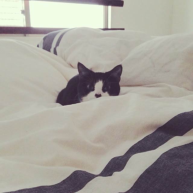 chiharu05nkさんの実例写真