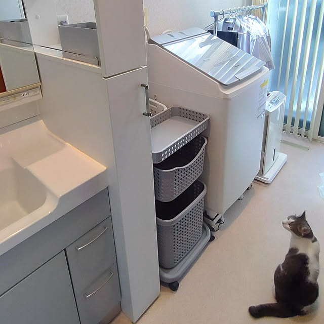 38catさんの実例写真