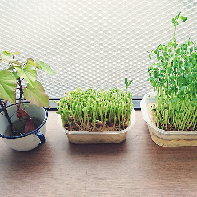 uniuniさんの実例写真