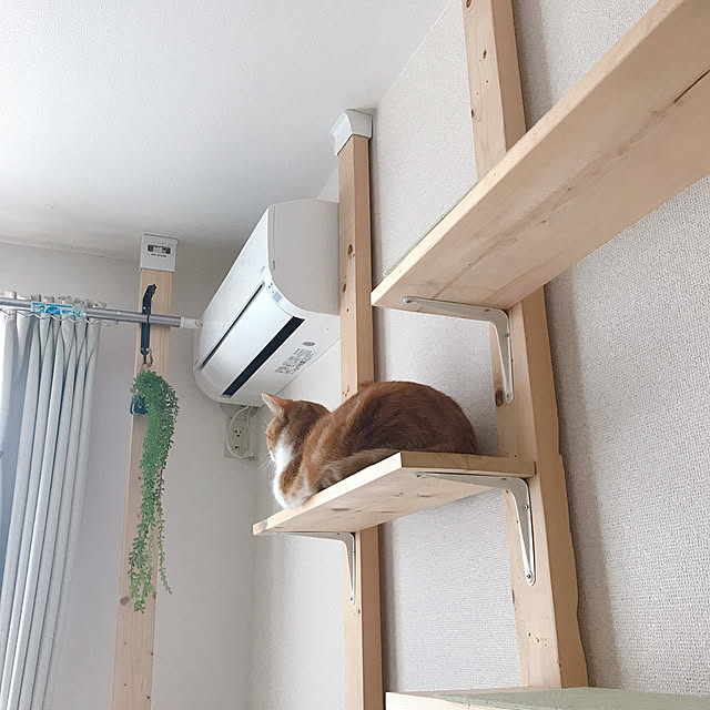 maruさんの実例写真