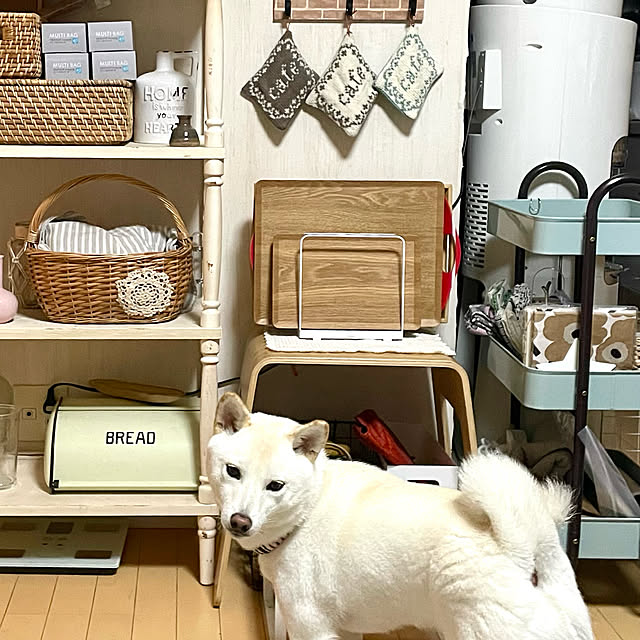 mo-nosukeさんの実例写真