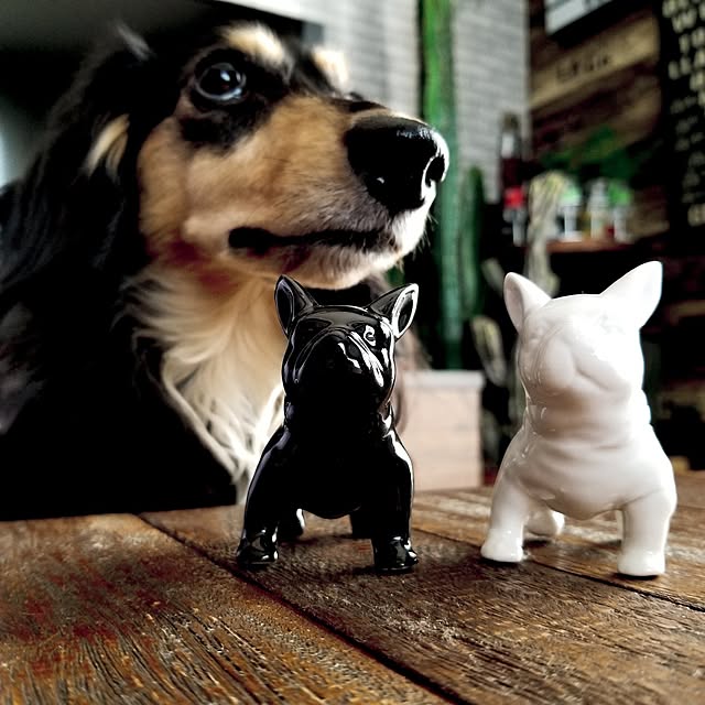 momozouさんの実例写真