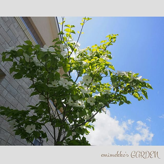 emimekkoさんの実例写真