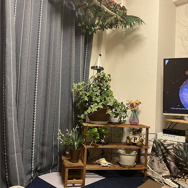 ドライフラワー/観葉植物/DIY/部屋全体のインテリア実例 - 2021-12-04 21:24:43
