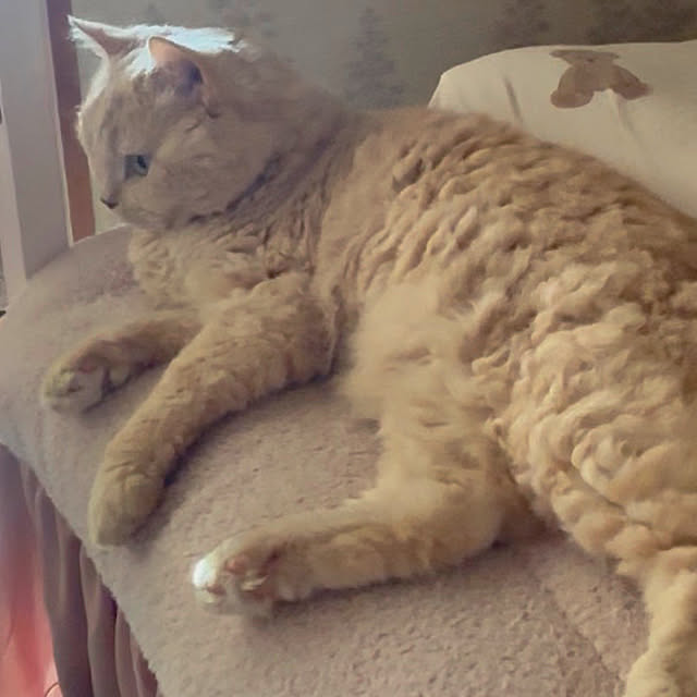 naokoさんの部屋