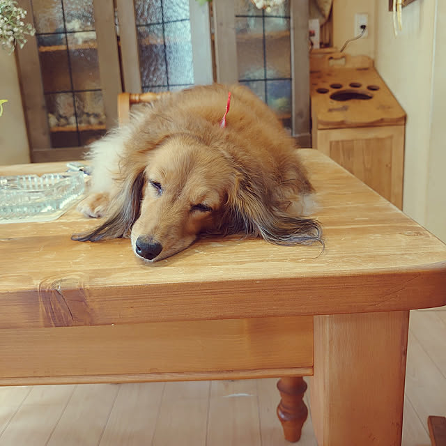 rikachakoさんの実例写真