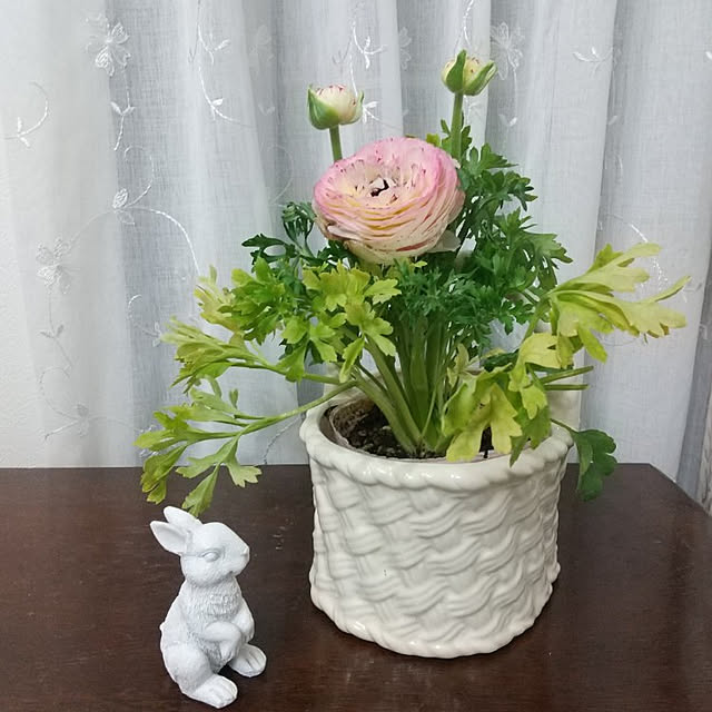 Rさんの実例写真