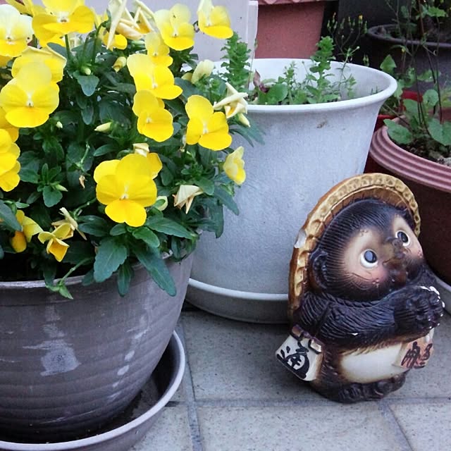 244さんの実例写真