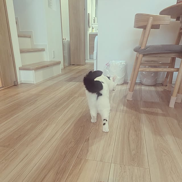 shiratamaさんの部屋