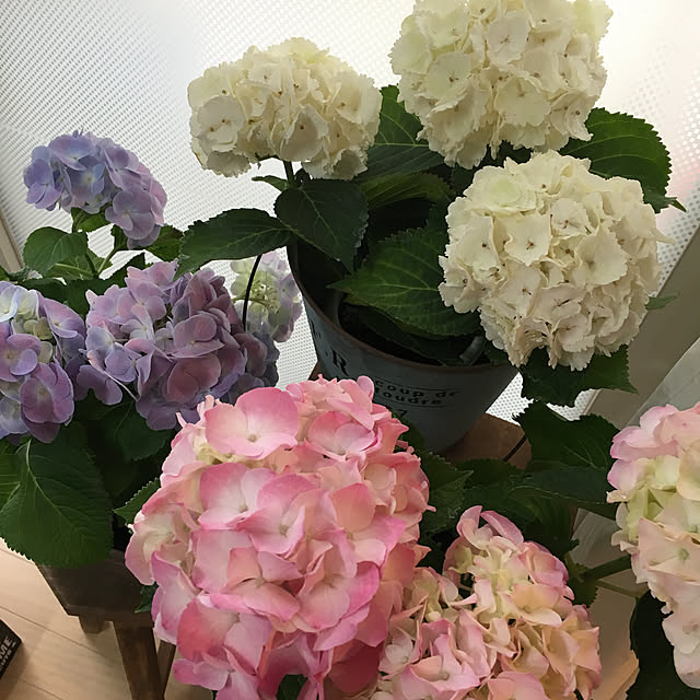 furu.さんの実例写真