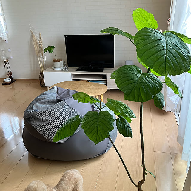 hana_lepetalさんの実例写真