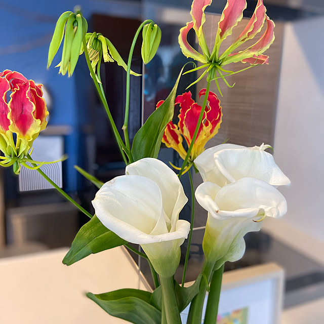 chiakiさんの部屋