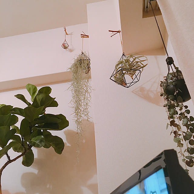 Kurehaさんの実例写真