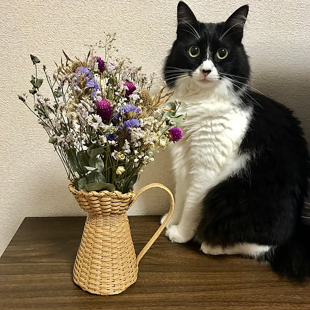 Yunさんの実例写真