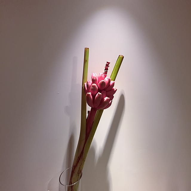 yoshiさんの実例写真