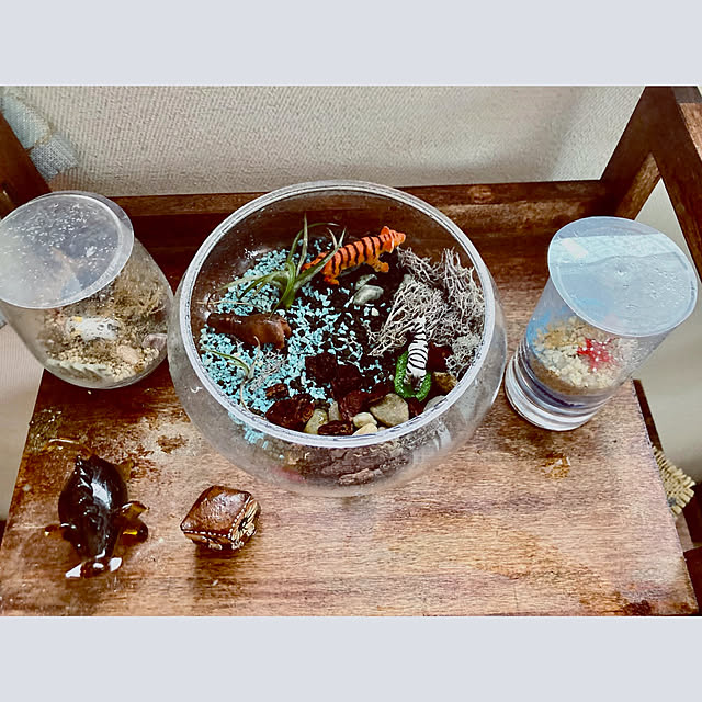 CoCo0617さんの部屋