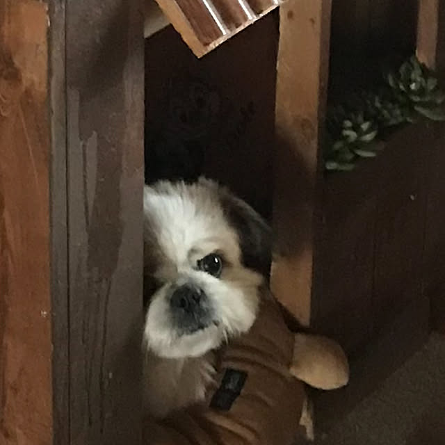 Miyokoさんの実例写真