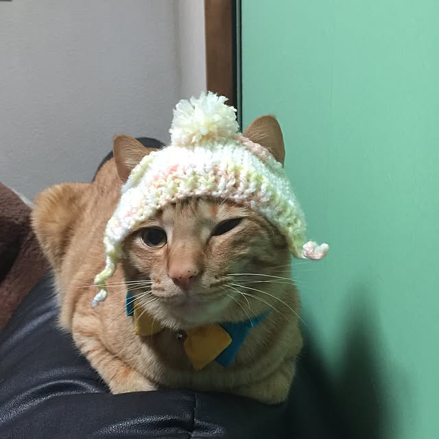 mtkさんの実例写真