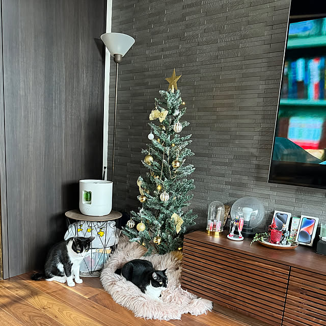 porinさんの部屋
