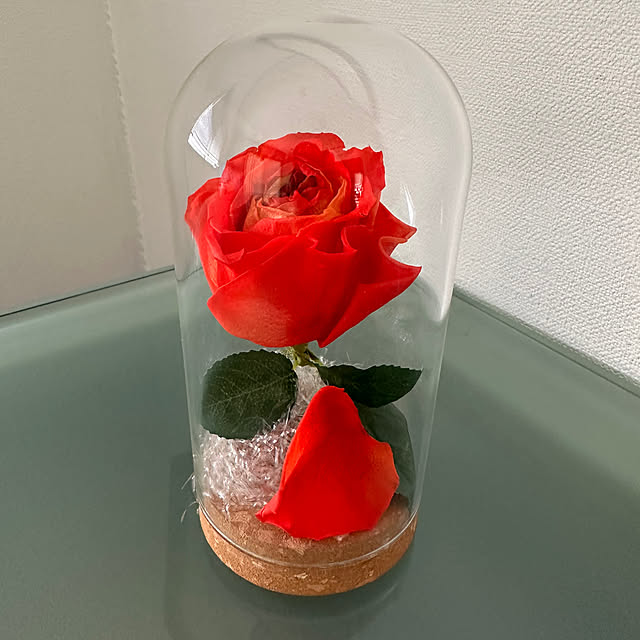 nao.chappy0809さんの実例写真