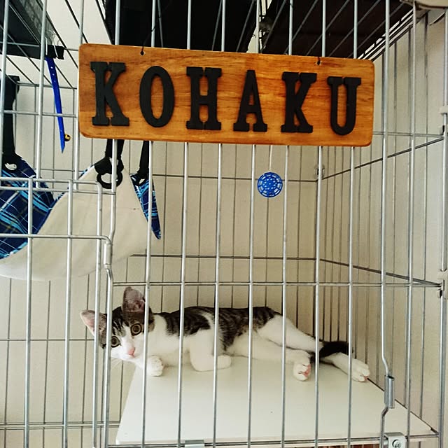kiraさんの実例写真