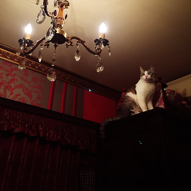 emmyyさんの実例写真