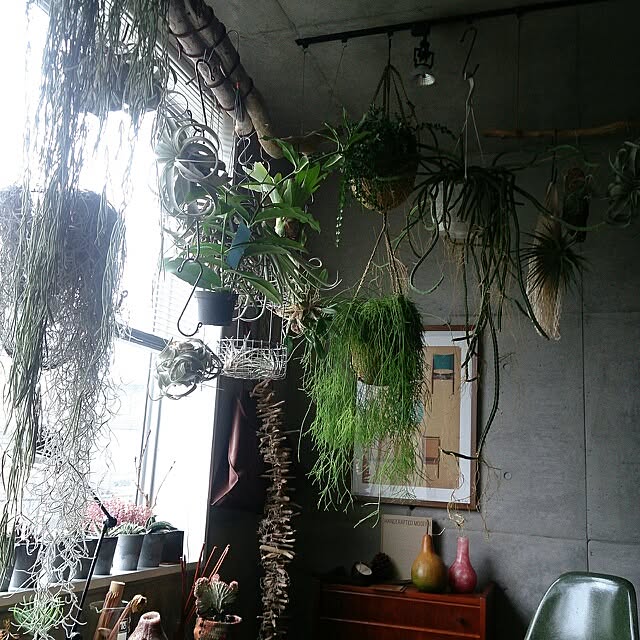 yujlさんの実例写真