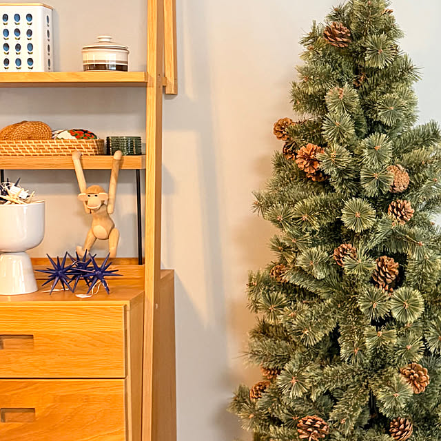 tantanmaruさんの実例写真