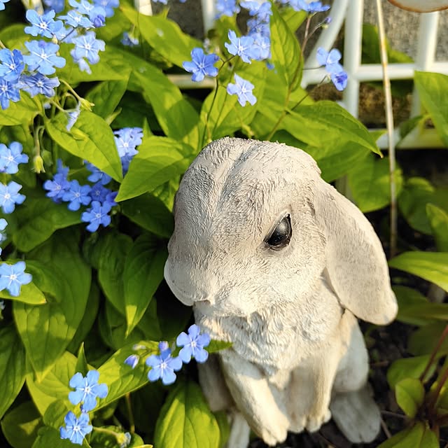 kiraさんの部屋