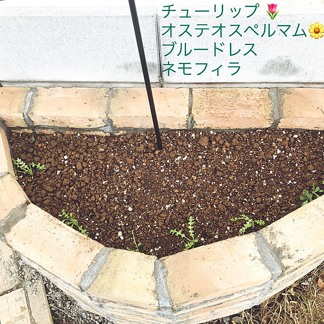 tomoさんの部屋