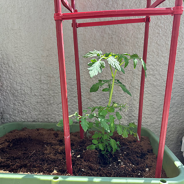 mizucchiさんの部屋