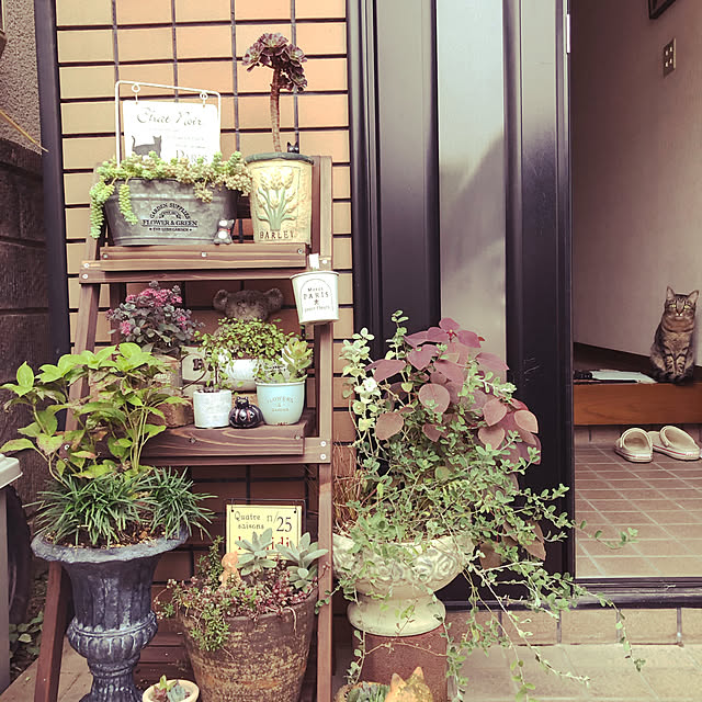 実例写真