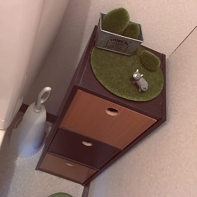 puechanさんの実例写真