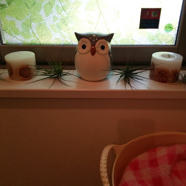 youyouさんの実例写真